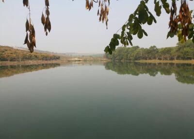 Serene lake view