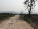 Dirt road with trees in a rural area