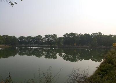 Scenic view of a calm pond with tree line reflection