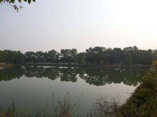 Scenic view of a calm pond with tree line reflection