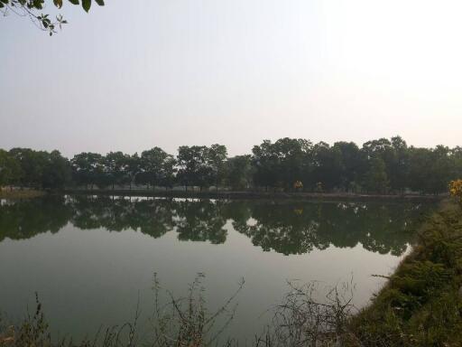 Scenic view of a calm pond with tree line reflection