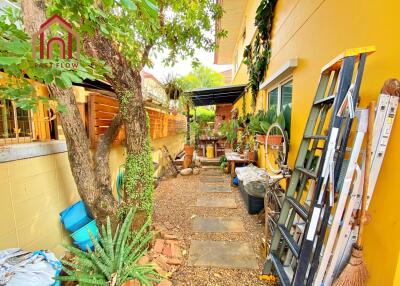 Backyard with garden and storage items