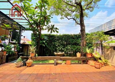 Well-maintained garden area with potted plants and a tree