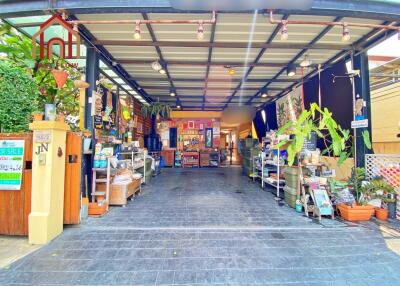 spacious garage with organized storage and plants