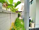 Outdoor area with greenery and building exterior