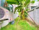 Small garden with banana plants and an air conditioning unit