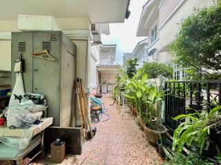 Outdoor area with plants and storage space