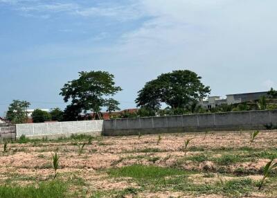 Vacant land with a few small plants and surrounding trees