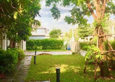 3 Bed 3 Bath 536 SQ.M Perfect Masterpiece Rama 9