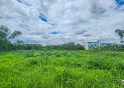 Large Plot of Land On Canal Road Close To The Airport