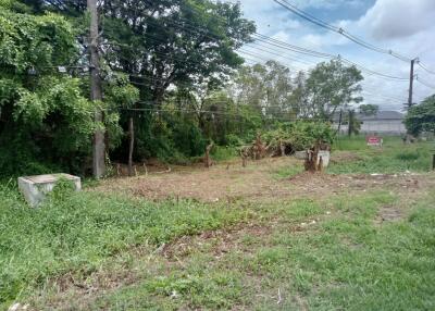 Empty plot of land with some trees and power lines