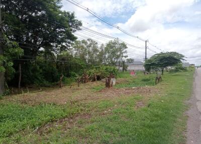 Vacant land beside a road