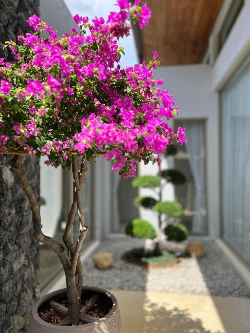 Beautifully landscaped outdoor area with flowering plants and trimmed bushes