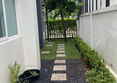 Outdoor garden area with a walkway and plants