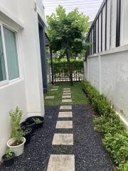 Outdoor garden area with a walkway and plants