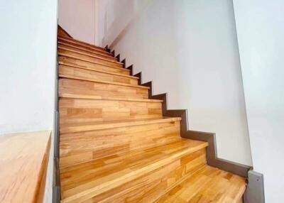 Wooden staircase in a modern home