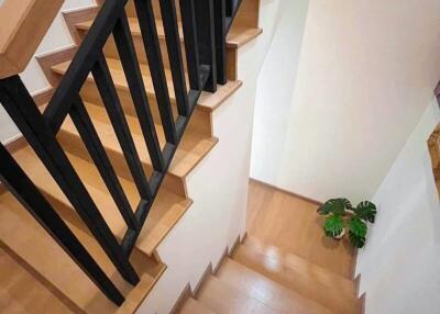 Modern wooden staircase with black railings