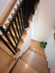 Modern wooden staircase with black railings