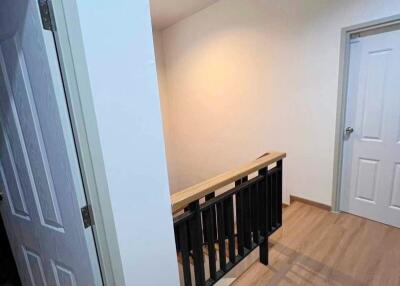 Hallway with wooden flooring and painted doors