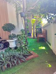 Lush greenery with plants and lawn area