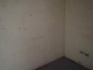 Empty room with bare walls