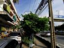 Street view with parked cars, buildings, and a tree