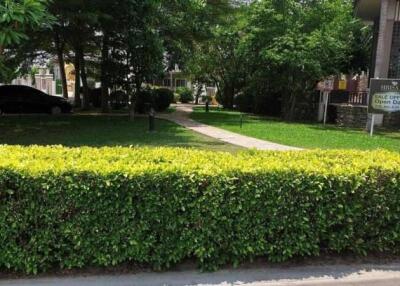 Front yard with lush greenery and a pathway