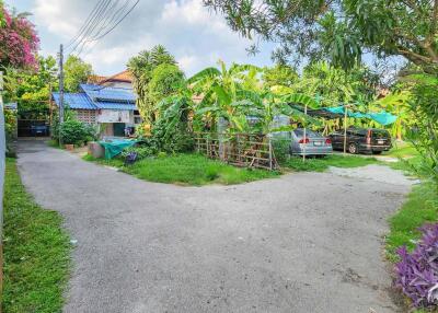 Homestay For Sale In The Heart Of Chiang Mai