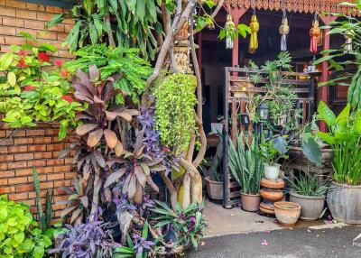 Homestay For Sale In The Heart Of Chiang Mai