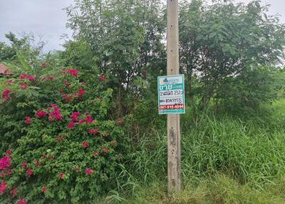 Outdoor area with real estate signpost