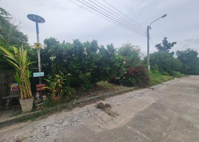 Street view with greenery and signposts