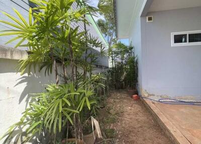 Side yard with plants and walkway