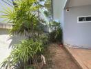 Side yard with plants and walkway