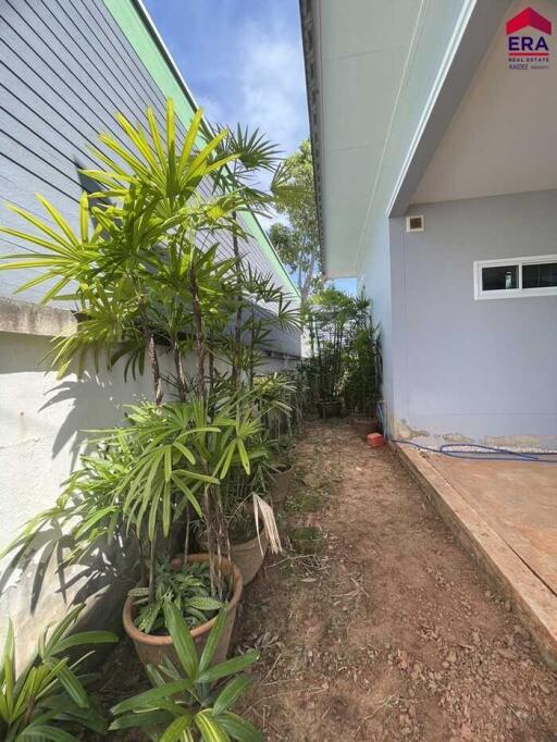 Side yard with plants and walkway