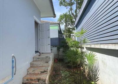 Side entrance with outdoor greenery