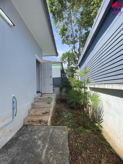 Side entrance with outdoor greenery