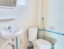 Small bathroom with essential fixtures