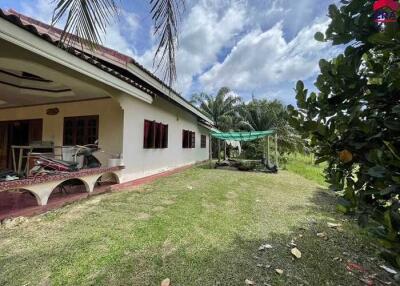 Exterior view of the house with a lawn and surrounding vegetation