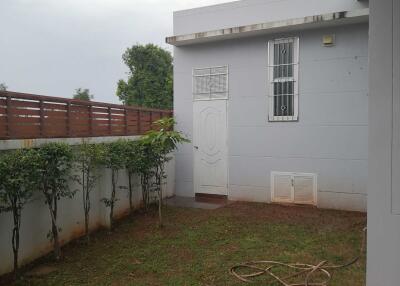 Backyard with grass and small plants