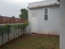 Backyard with grass and small plants