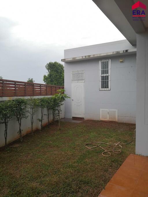 Backyard with grass and small plants