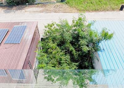 Aerial view of rooftops with solar panels and greenery nearby