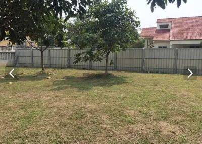 Spacious backyard with lawn and trees