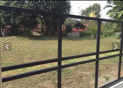 View of backyard through a metal mesh fence