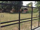 View of backyard through a metal mesh fence