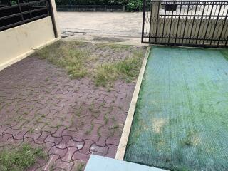 Outdoor area with bricked pathway and grassy section