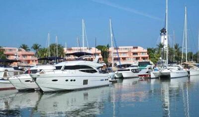 Scenic view of a marina with multiple yachts docked