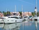 Scenic view of a marina with multiple yachts docked