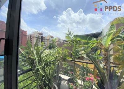 View from the balcony with plants and cityscape