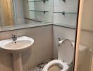 Bathroom with large mirror, sink, toilet, and glass shelves